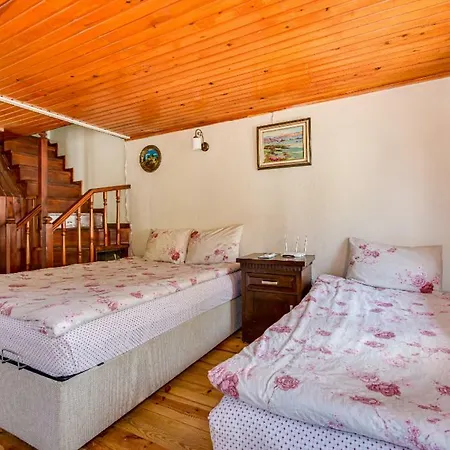 Efsali Triplex *